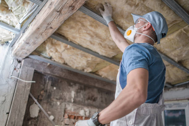 Best Insulation Installation Services in Barnesville, MN