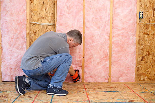 Best Types of Insulation in Barnesville, MN