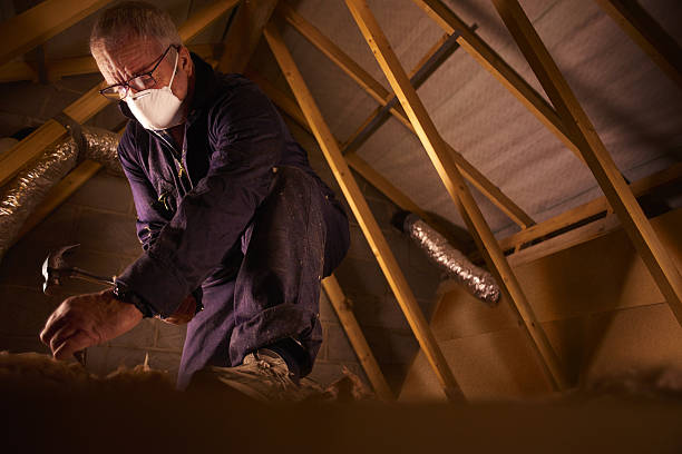Best Specialty Insulation in Barnesville, MN